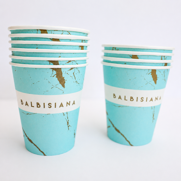 Menaje desechable Balbisiana 10 pax.